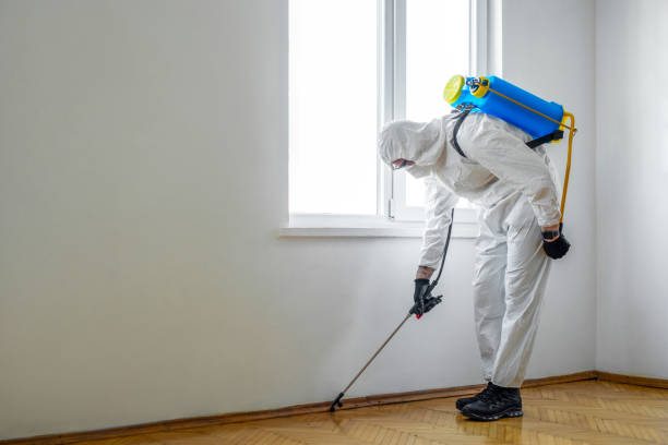 Best Real Estate Pest Inspections  in Rawlins, WY